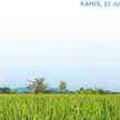Faris 
