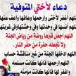 Yasmin Adel