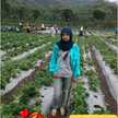 Wisnu Wardani