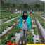Wisnu Wardani