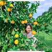 Nông Ngọc Diệp