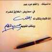 مجنونها رسمي