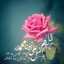 سعاد ناصر عبدالله 