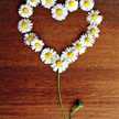 Sofi_cocina