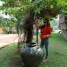 Shella Rifai