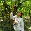 dwiyanti