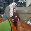noha hossam