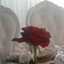 أم عاءشة و نوح
