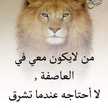 أمير العرب