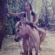 Diondhayak Borneo