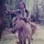 Diondhayak Borneo