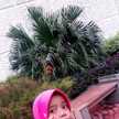 Wa Ode Nurfauziah