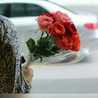 عابرة سبيل #💝