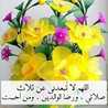 Oum Walid