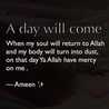 Farhana Shams