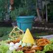 Tri Lestari