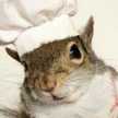 Chef Ardilla