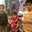 farida haddad