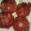 Mayithoo Anxeita