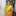 Shruthi Dinesh Vernekar Shruthi Dinesh Vernekar