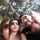 Luly Ara