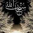 Abdou Hambek