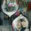 Stefy Y Wal