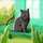 Noémi