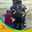 Aumar Mourad Aumar Mourad