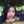 RIRIS MAHCE