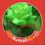 Yanti Moel