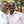Evans Munene