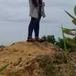 Tiyush Tyash Tiyush
