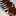 Beroo_cook Beroo_cook