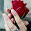 Rose Draem