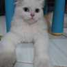Wina 
