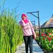 Syifa affifah