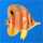 antce antce