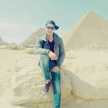 Arabian_Falcon