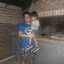 Amilcar 