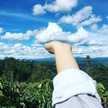 Tham Vo