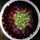 mahesha Rany mahesha Rany