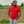 Vishank Patel