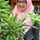 Nuril Hikmatilah Nuril Hikmatilah