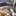 7aloumass 12 7aloumass 12