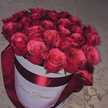 rose rouge