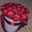 rose rouge