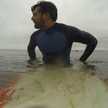 Dante La Efe