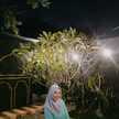 Rachmi F Hafiizh