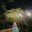 Rachmi F Hafiizh